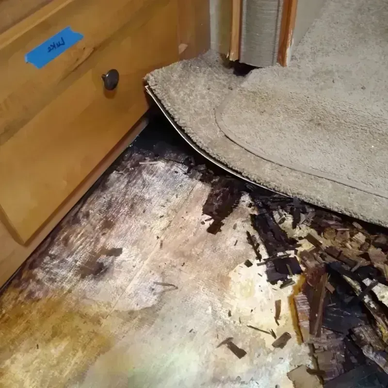 Wood Floor Water Damage in Norlina, NC